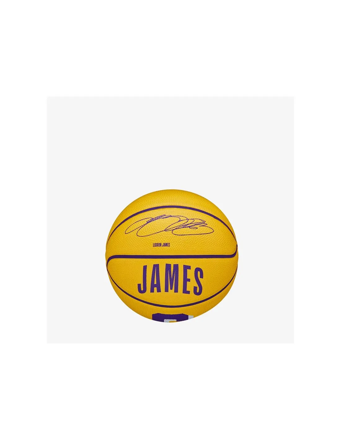 Balon de baloncesto Wilson NBA Player Icon Mini Lebron