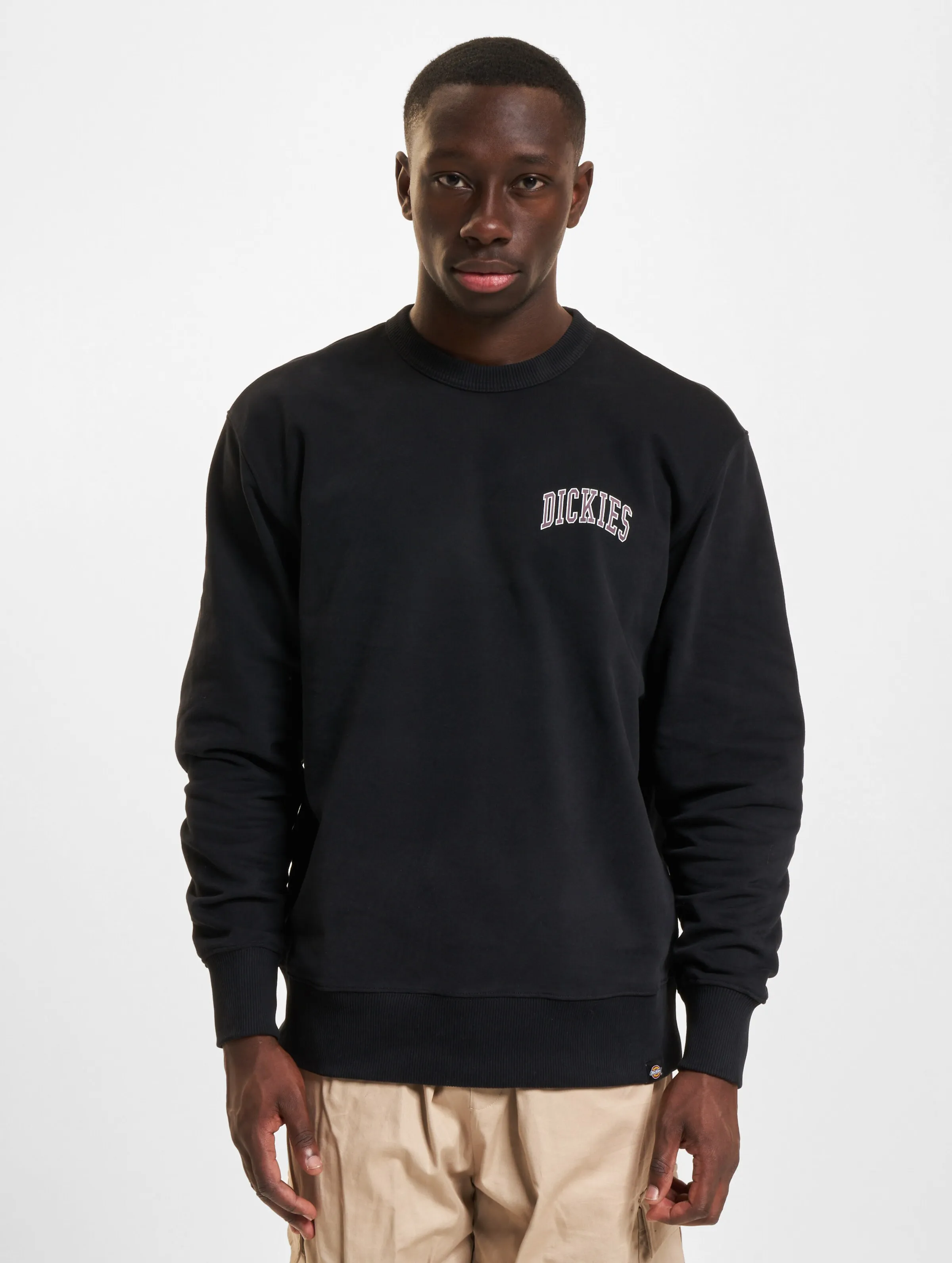Dickies Aitkin Chest