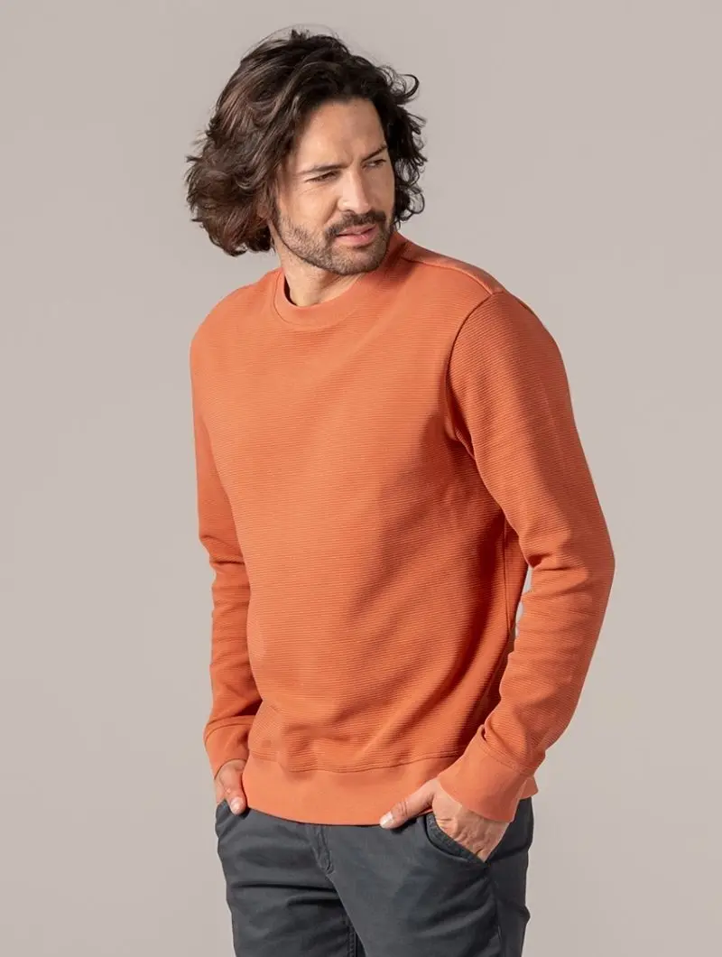 Jersey sudadera para hombre de algodón orgánico