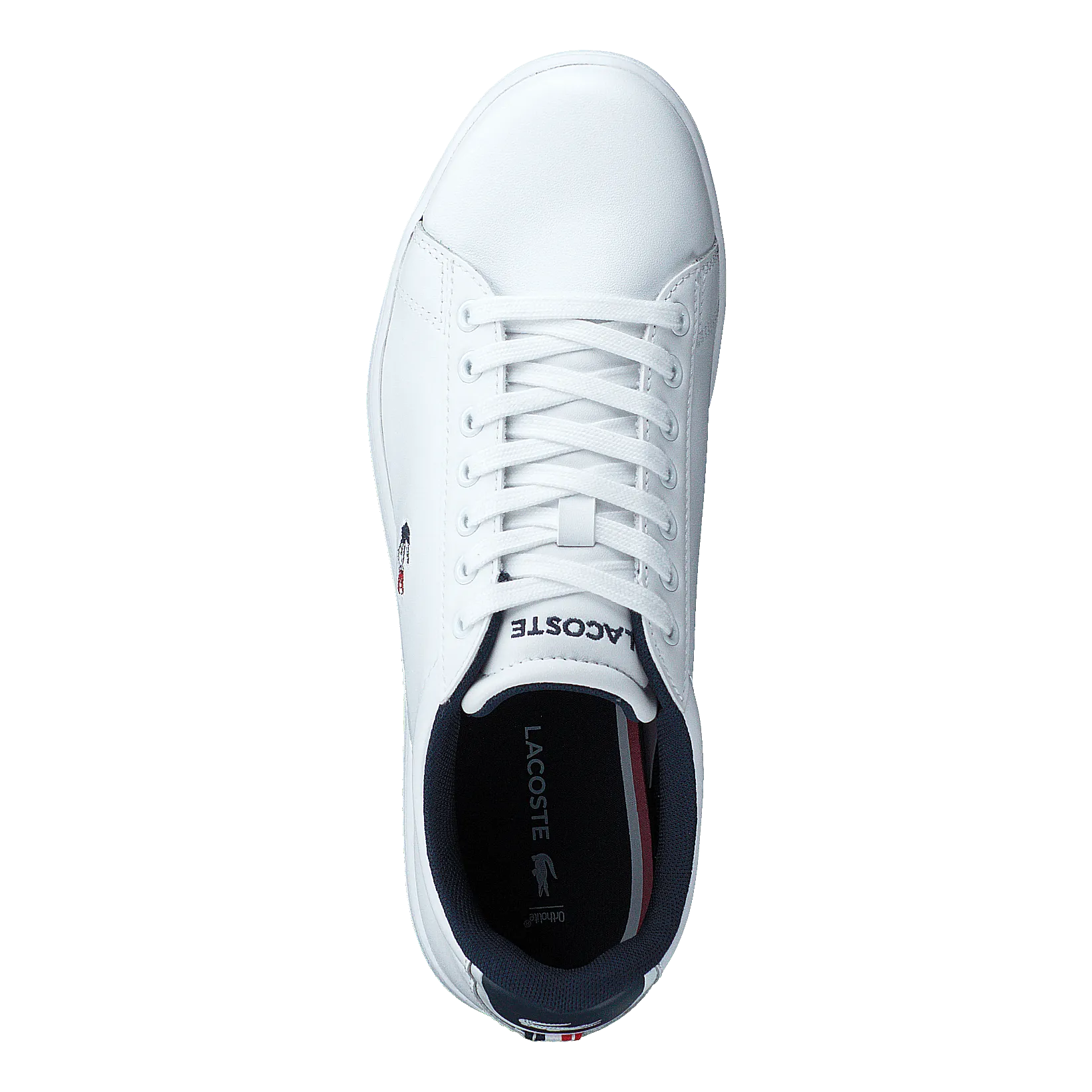 Lacoste zapatos Carnaby Evo Tri 1 Sfa Wht/nvy/red