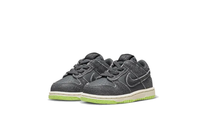 Nike Dunk Low Swoosh Shadow Iron Grey Baby (TD)