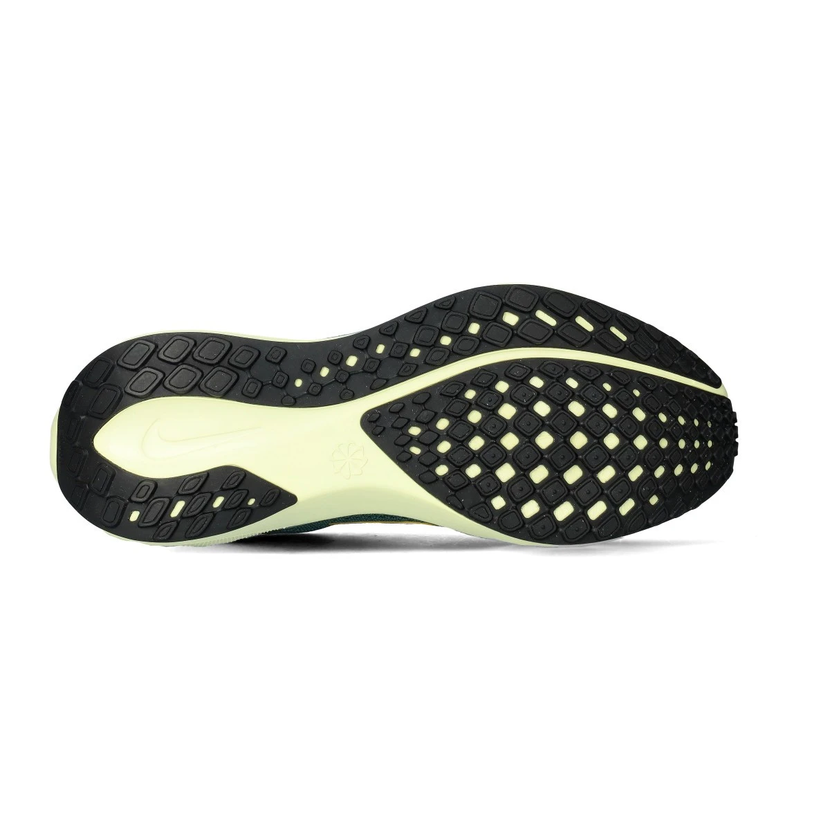 Zapatilla Nike Air Zoom Pegasus 41