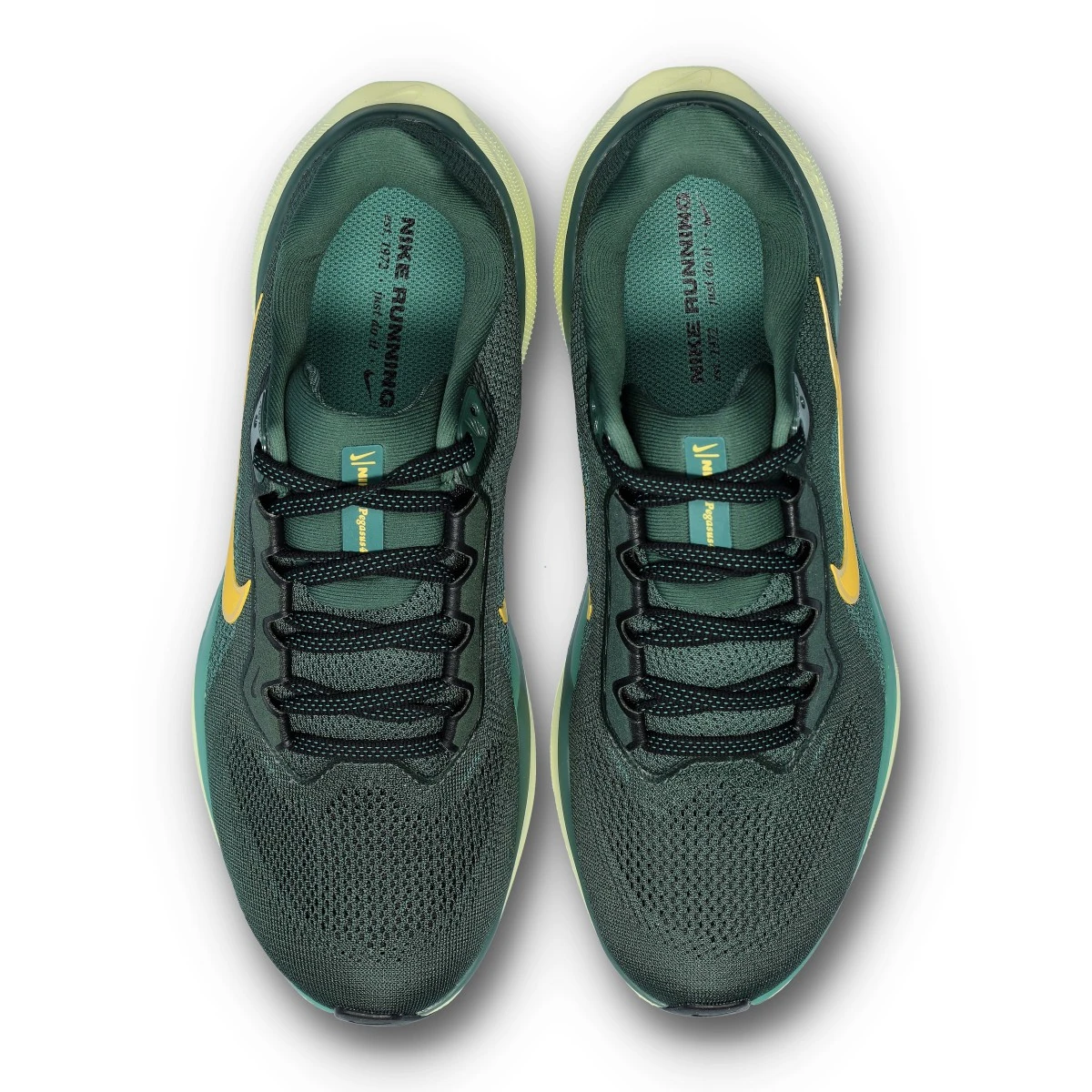 Zapatilla Nike Air Zoom Pegasus 41